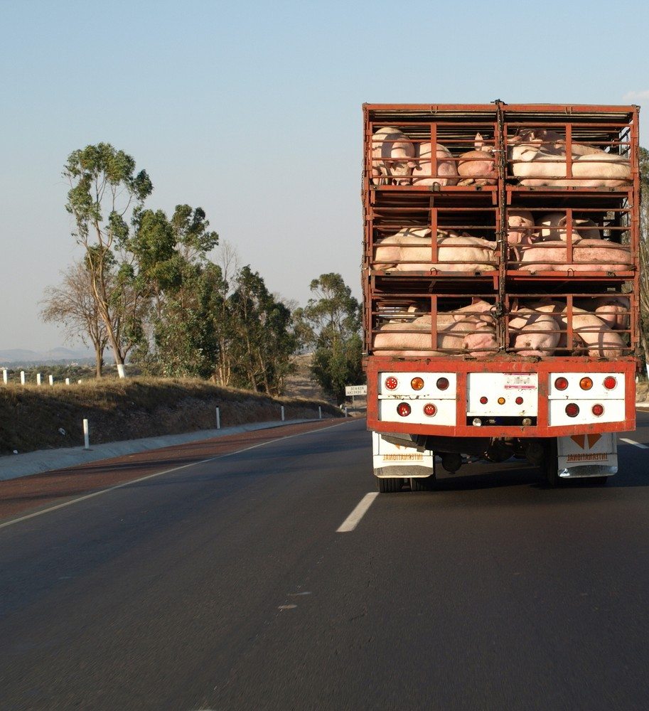 Farm Trucking Regulation Reduction