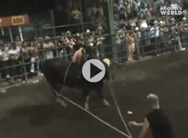 Girl Stuck On Bull