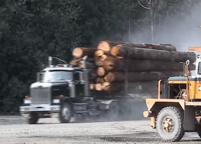 VIDEO: How Canadian Truckers Do It