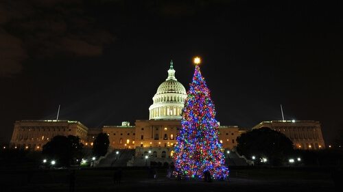Trucker Advocate at Capitol Christmas Lighting