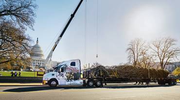 Mack Pinnacle Unloads Capitol Christmas Tree