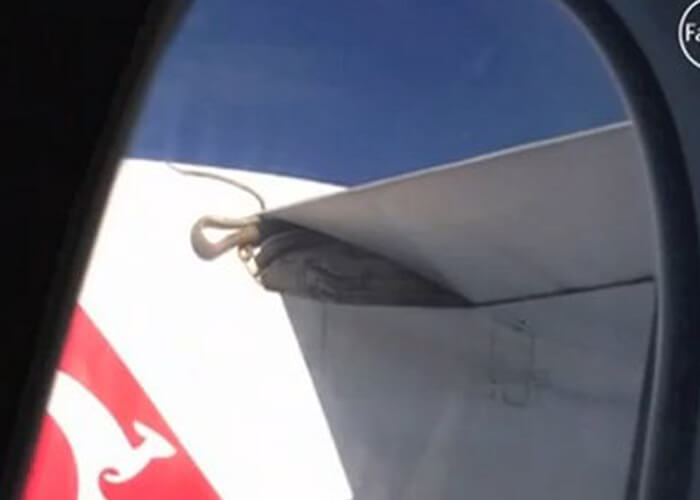 VIDEO: Actual Snakes On Actual Planes