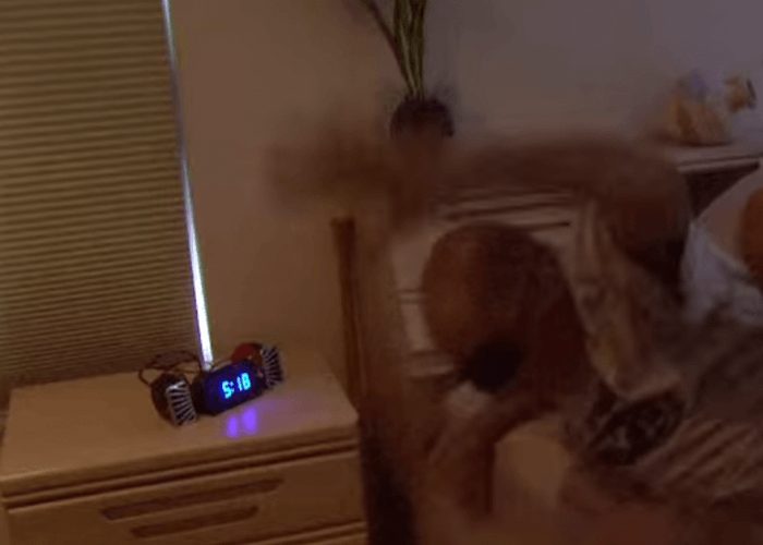 VIDEO: World’s Loudest Alarm Clock