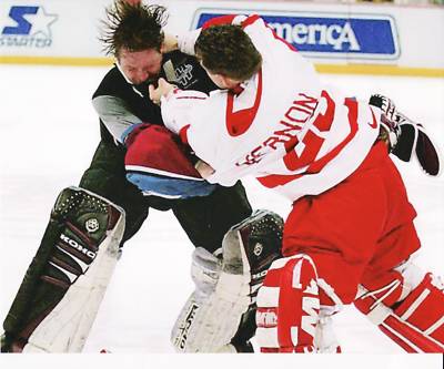 Hockey Goalie Fight