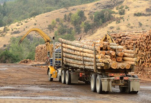 Montana Law Would Affect Logging