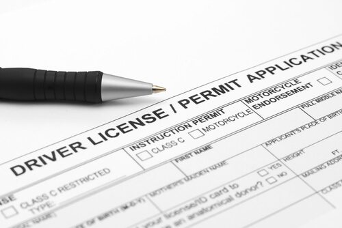 Illegal Licenses Issued