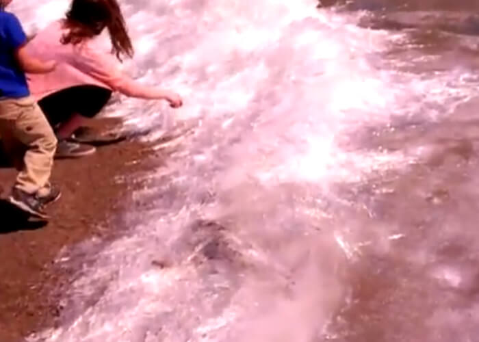 VIDEO: Medicine Lake Pushes Out Needle-Like Ice Crystals