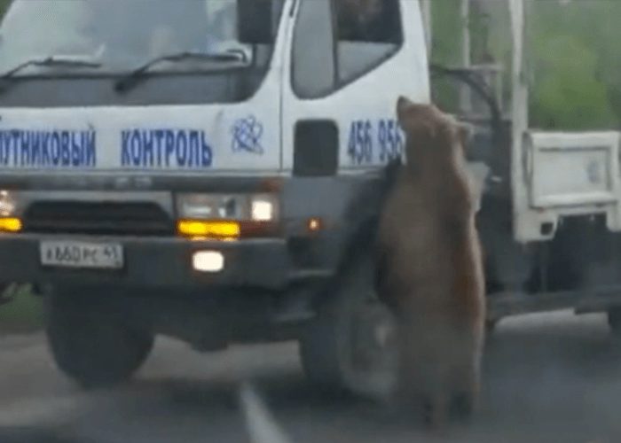 VIDEO: Russian Beggar At Truck Driver’s Window