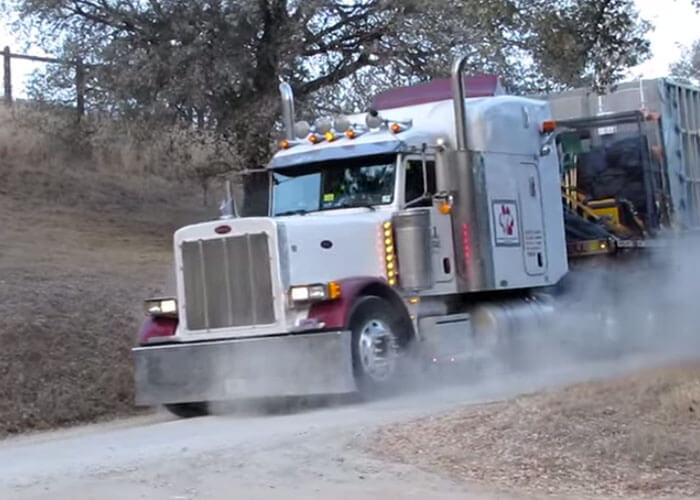 Bell Cartage Hauls Elephants Cross-Country