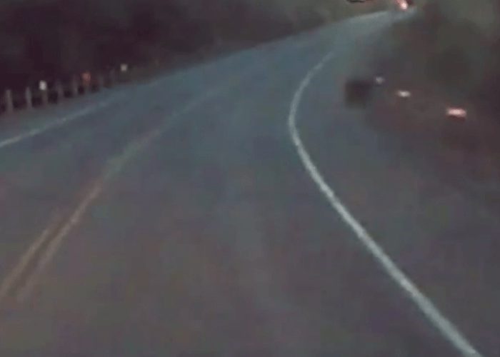 VIDEO: Close Calls Between Drivers And Crossing Animals