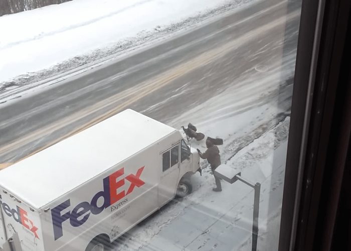 VIDEO: Turkey Chases UPS Driver