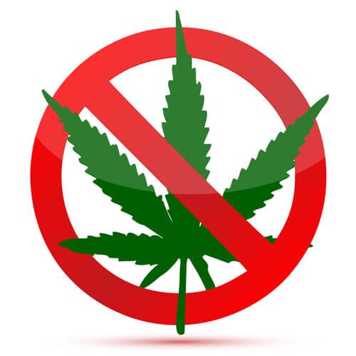 DOT Tells Drivers to Just Say No to Legal Pot