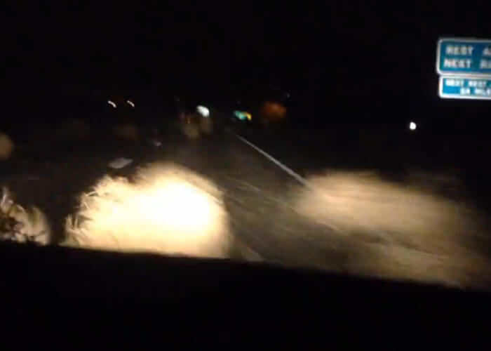 VIDEO: Girl Has Nervous Breakdown About Tumbleweeds