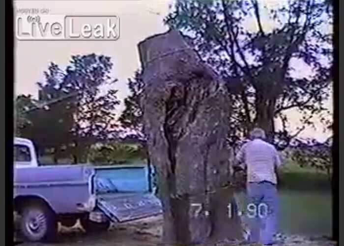 VIDEO: Tree Trunk Sends Pickup Truck Rolling