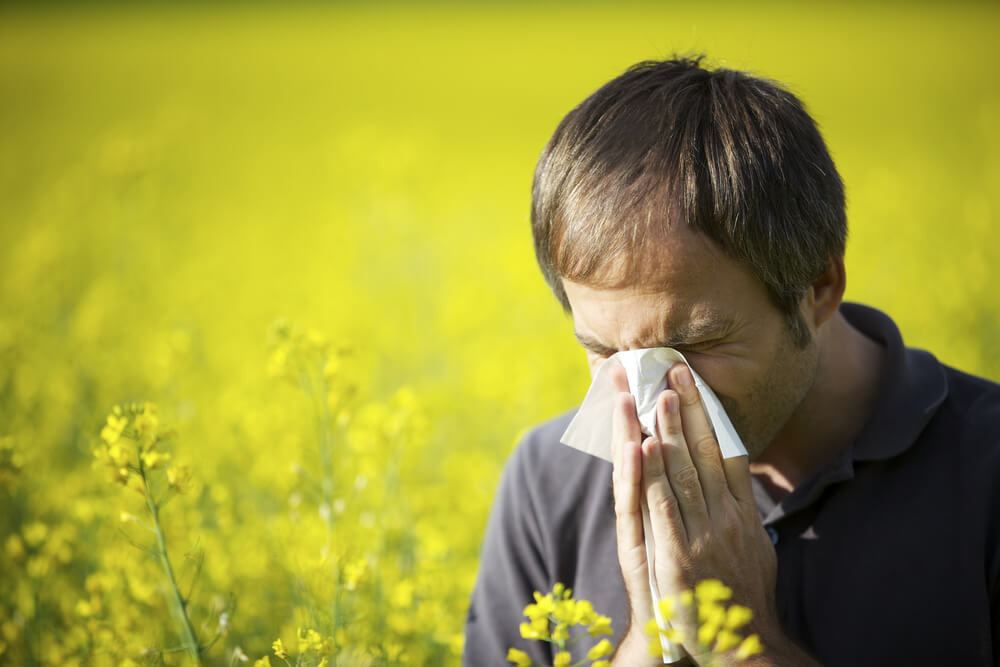 Website Review Manage Your Allergies At Pollen