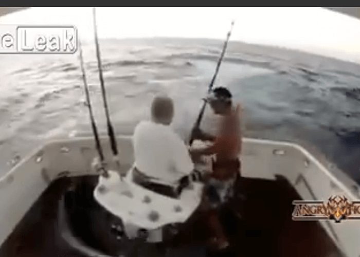 Video: Hilarious Fishing Fails