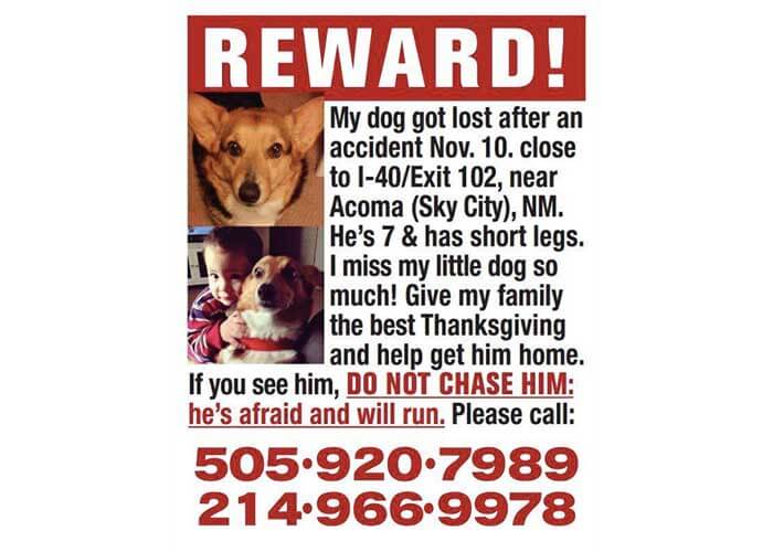 Family Looking For Truck Driver Who Found Their Dog