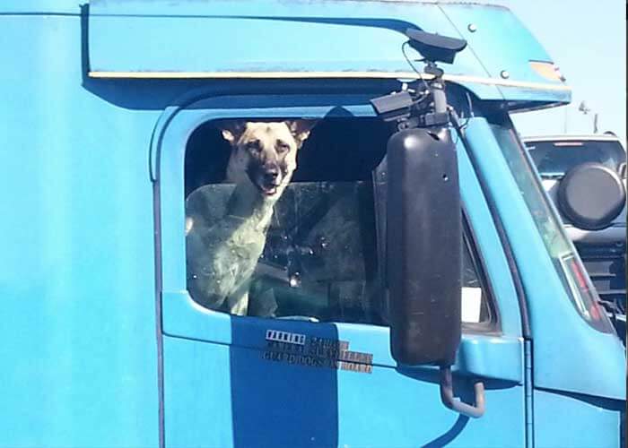 Photo: Best Truck Security System