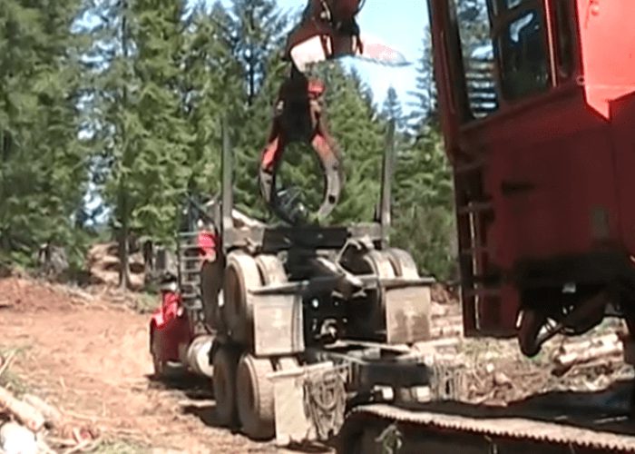 VIDEO: Logging Truck Driver Impacted By Federal Timber Harvest Reduction