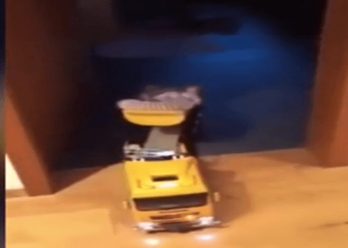 VIDEO: RC Truck Makes Very Special Delivery