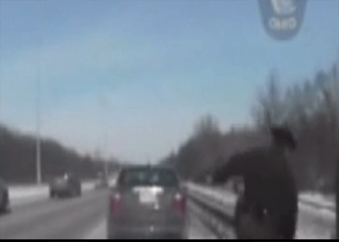 VIDEO: Dashcam Shows Truck Narrowly Miss Ohio Trooper & Driver