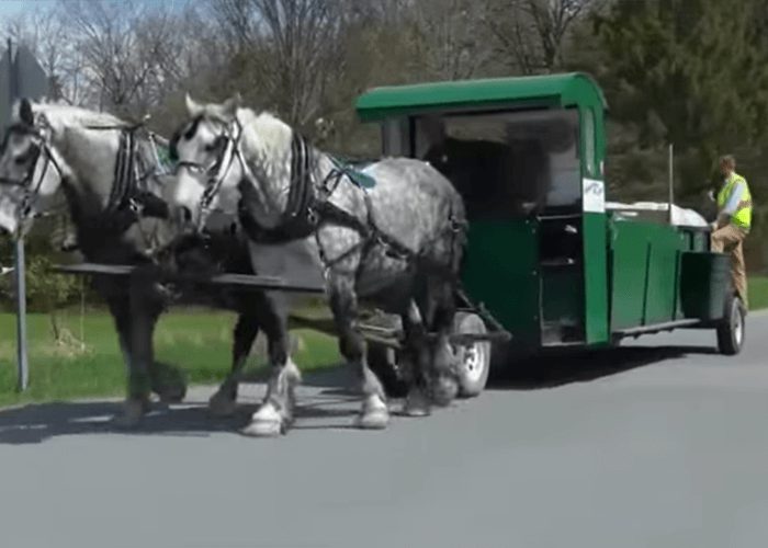 Horse Drawn Garbage Truck