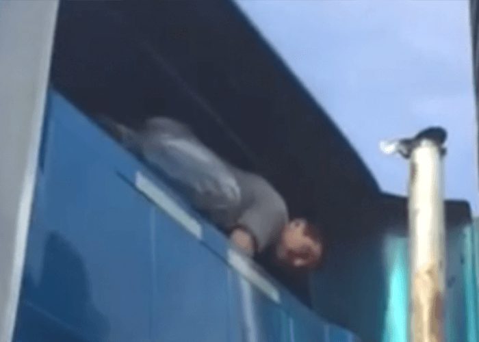VIDEO: Truck Driver Discovers Stowaway In Truck