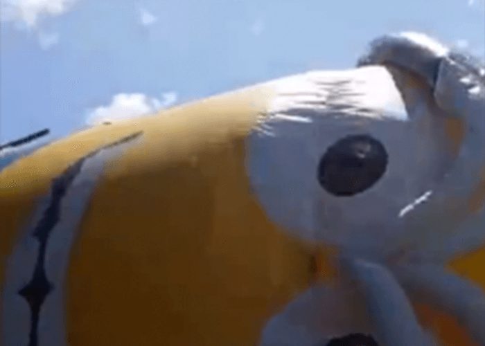 VIDEO: Giant Minion Causes Highway Havoc
