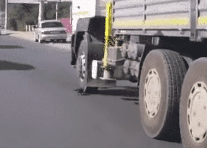 VIDEO: Kitten Saved By Quick Witted Truck Driver