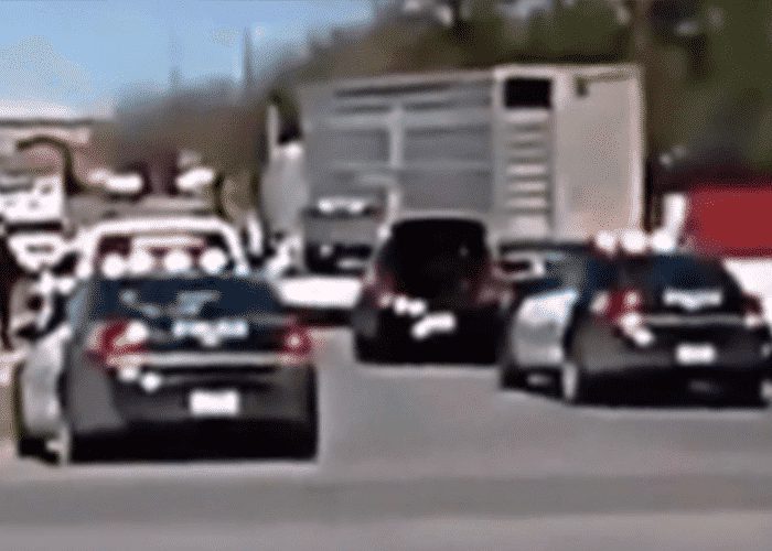 Police Kill Truck Driver