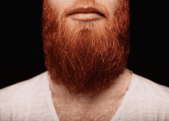Trucker Beards Keep You Healthy