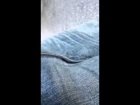 VIDEO: Veteran Trucker Refuses To Help Rookie Driver Because Of The Company He Works For