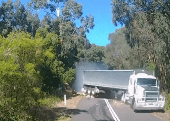 VIDEO: Fallen Tree Causes Chaos On Road