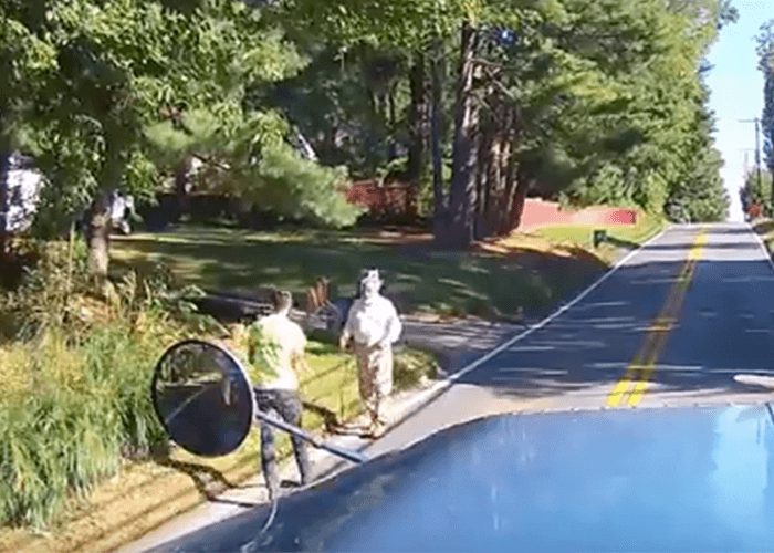 VIDEO: Trucker Rescues Dog In The Road