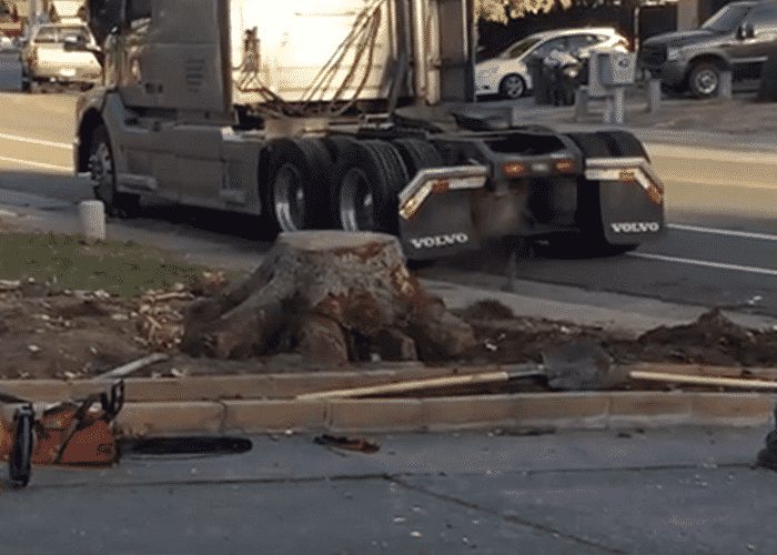 VIDEO: Volvo Vs. Tree Stump