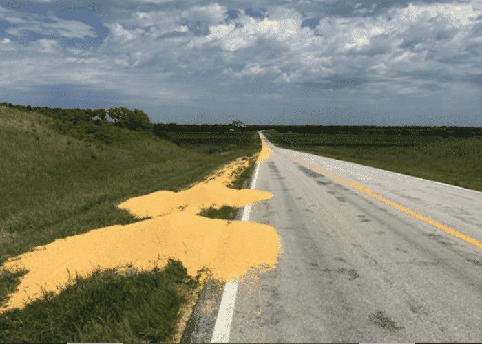 Fired Trucker Intentionally Dumped 1000 Bushels Of Corn On Road