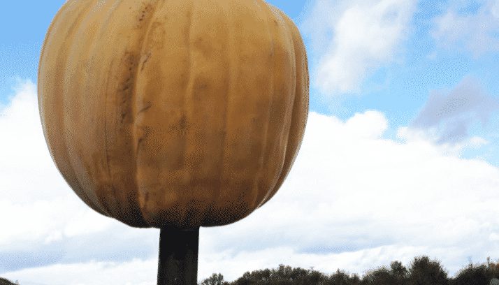 Trucker Manages Not To Crash When Pumpkin Is Hurled Through Windshield