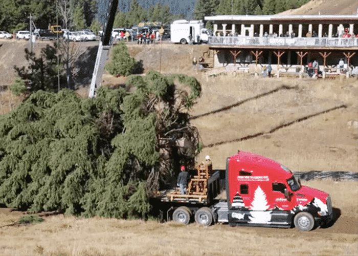 VIDEO: The Journey Of The Capitol Christmas Tree