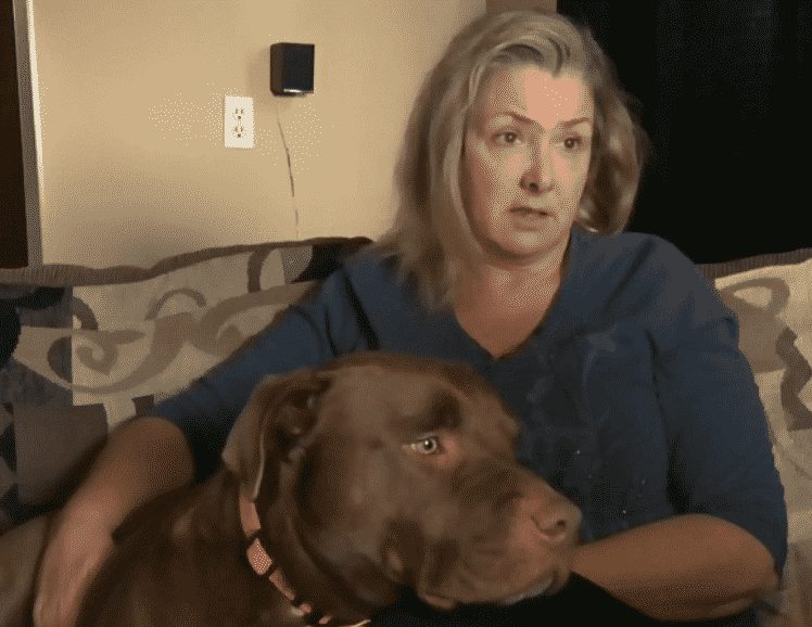 Army Vet Fired From Trucking Job For Driving With Service Dog