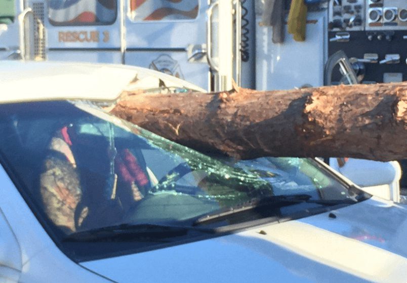 Motorist Survives After Crashing Into Log Truck