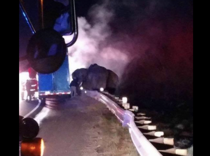 Truck hauling elephants catches fire on Tennessee's I-24