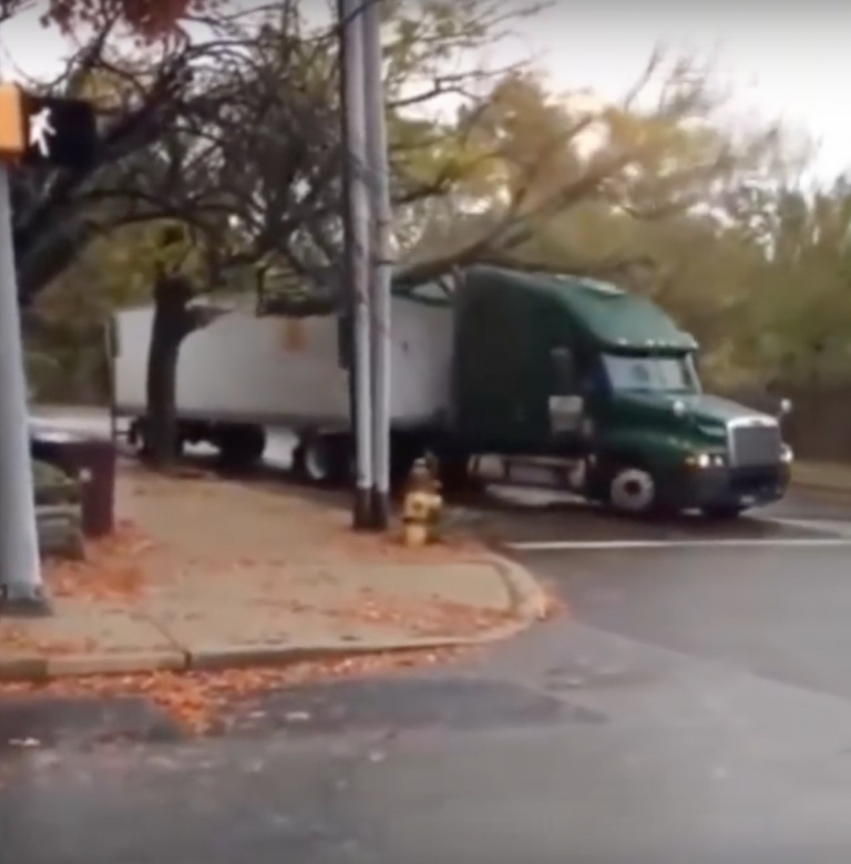Tree Truck