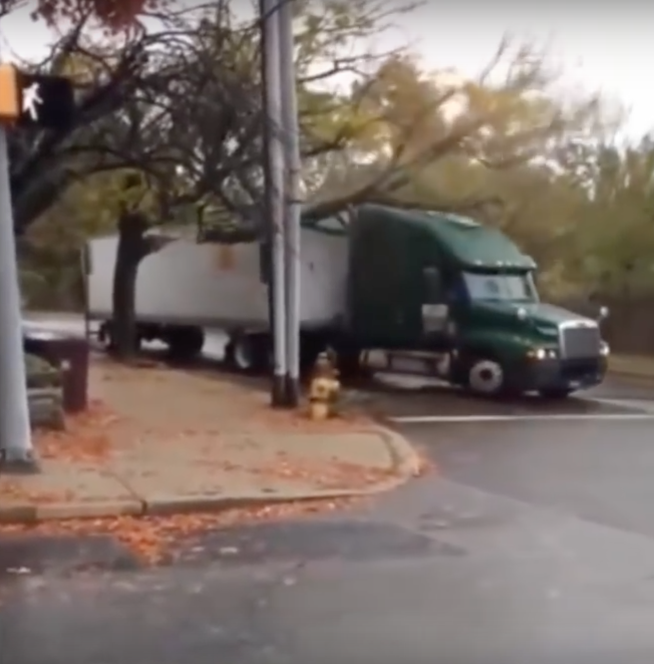 Video Semi Truck Stuck And Broke A Huge Tree