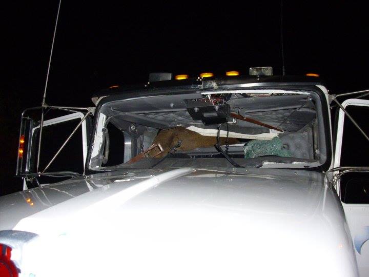 PHOTOS: Trucker and 10 year old son lucky to survive grisly collision with deer