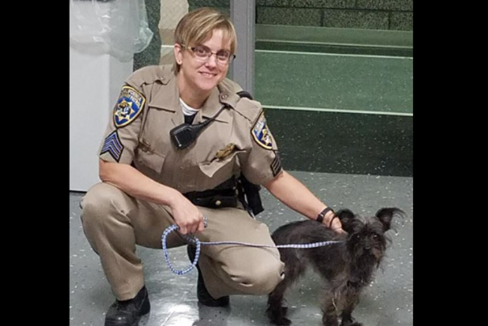 Officer goes above and beyond after a trucker's pup escapes during a CHP enforcement stop
