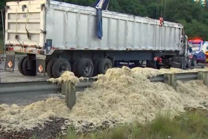 Seven mile traffic backups reported after truck dumps 40,000 pounds of chicken feathers on I-5