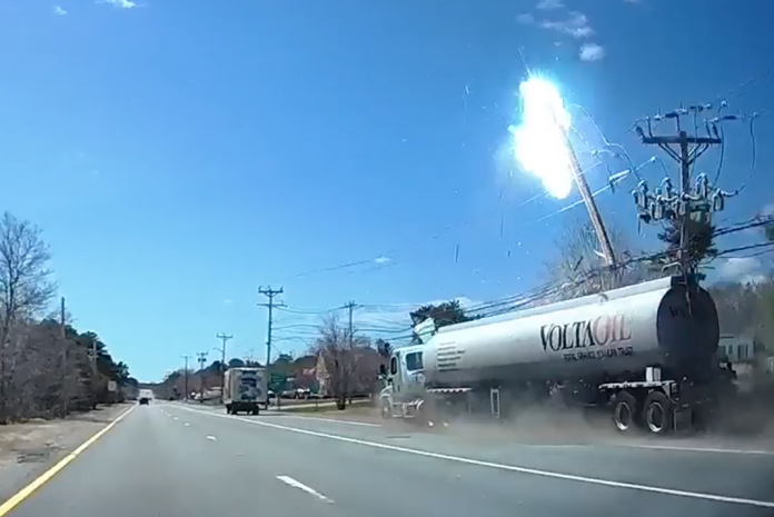 VIDEO: Trucker blames bird for this crazy crash