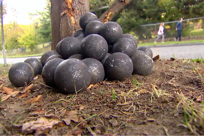 Truck's lost load of 2 lb. metal balls pummel cars following GPS mishap