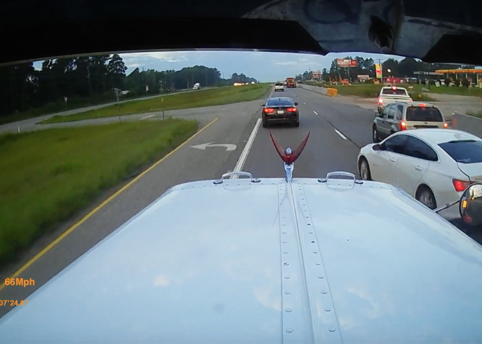 Car driver’s panicked swerve sends semi off the road