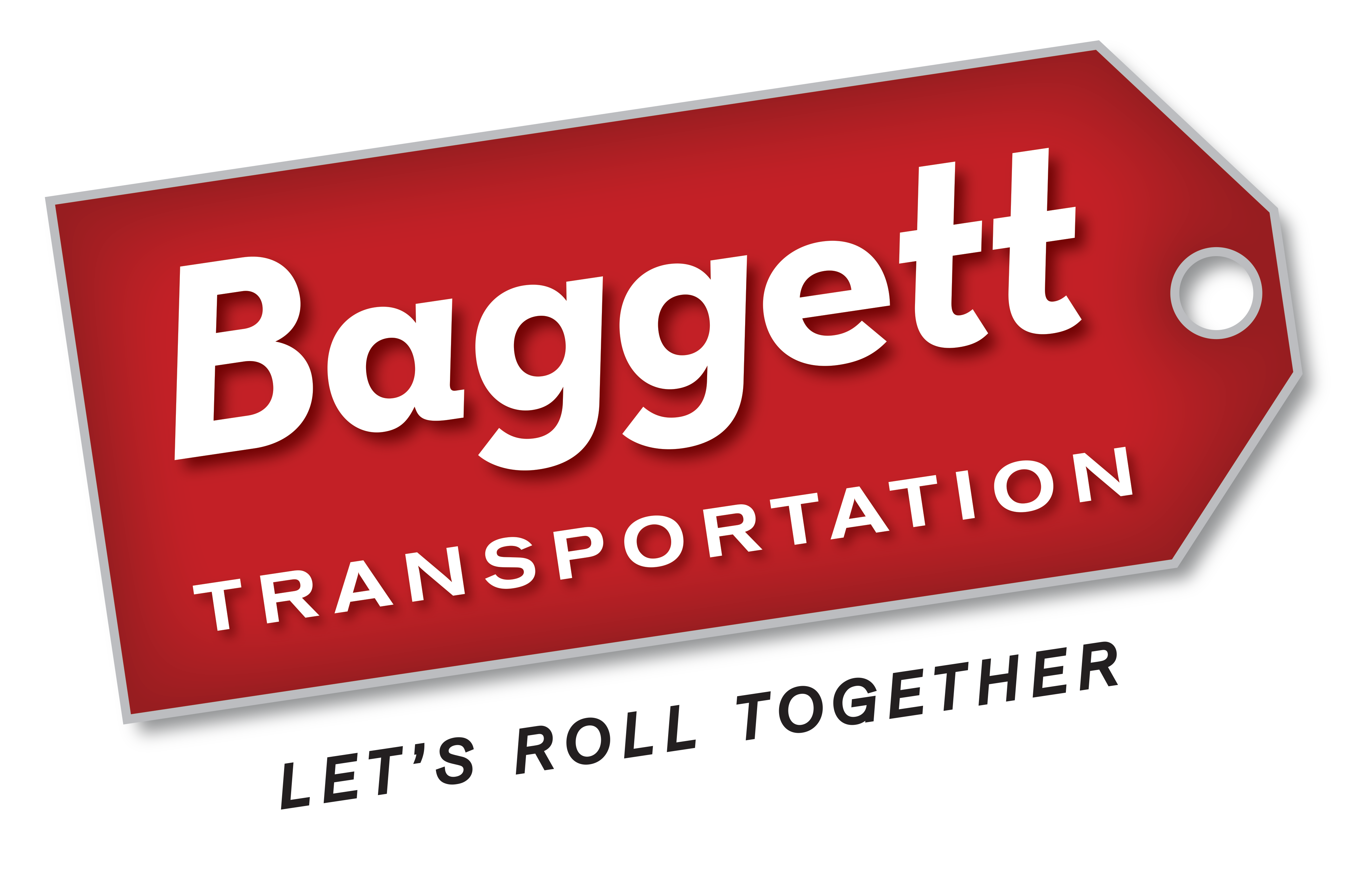 logo of baggit